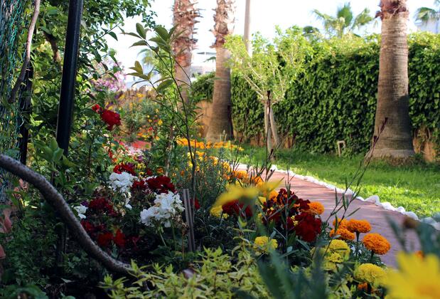 Semoris Hotel - Görsel 13