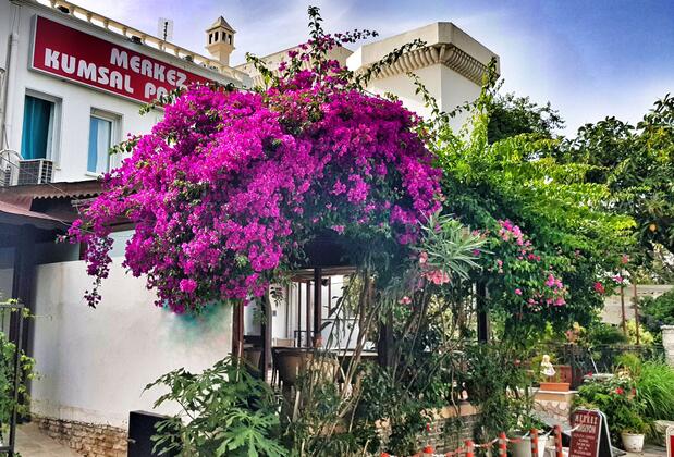 Merkez Kumsal Pansiyon - Görsel 11