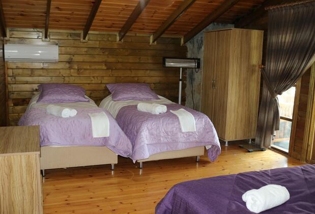 Castle Noala - Görsel 50