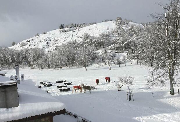 Şadıbey Çiftliği - Görsel 7