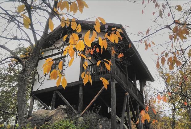 Şadıbey Çiftliği - Görsel 21