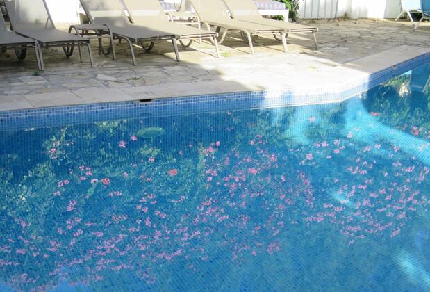 Hotel Kalehan - Görsel 35