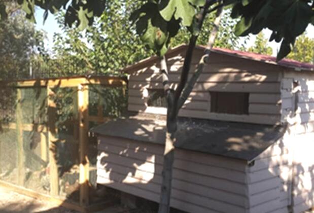 Urla Begonvil Pansiyon - Görsel 11