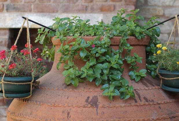 Kutlukaya Butik Otel - Görsel 4