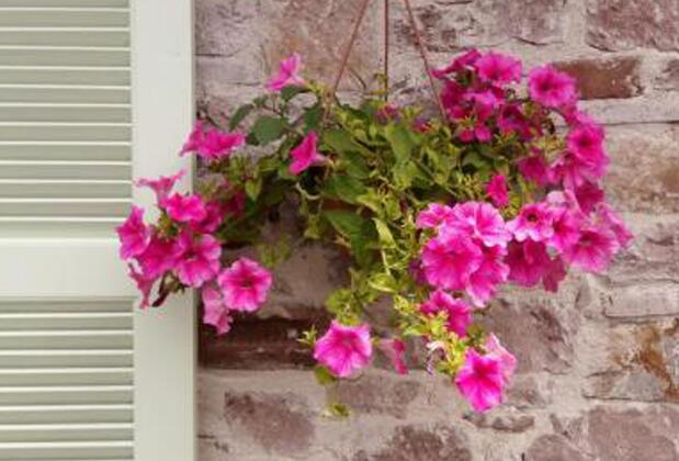 Cunda Poseidon Otel - Görsel 15