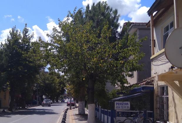 Ağva Ayşe Hanım Guesthouse - Görsel 7