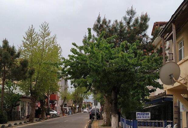 Ağva Ayşe Hanım Guesthouse - Görsel 6