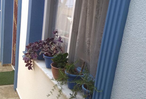 Ağva Ayşe Hanım Guesthouse - Görsel 4