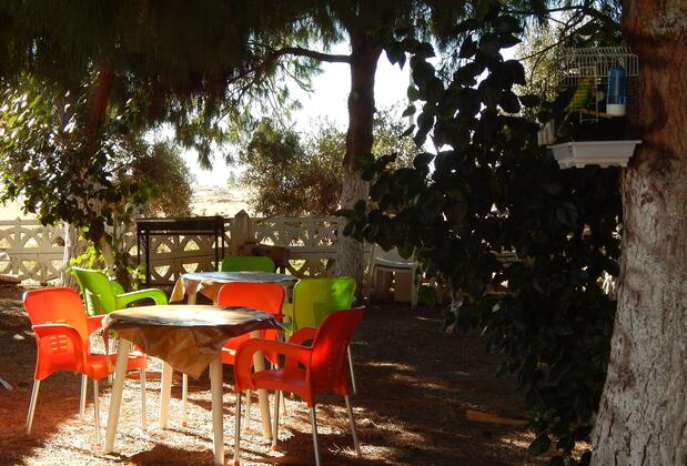 Koru Beach Hotel - Görsel 22