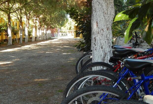 Koru Beach Hotel - Görsel 25