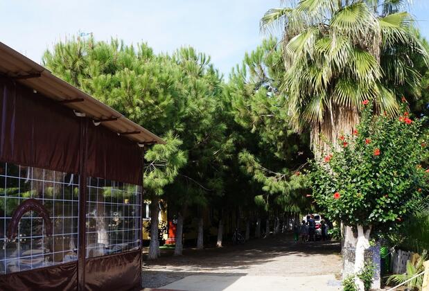 Koru Beach Hotel - Görsel 31