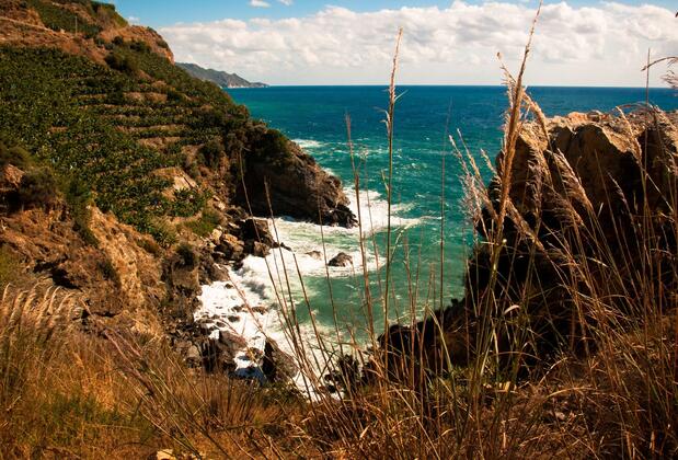 Koru Beach Hotel - Görsel 33