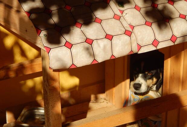 Koru Beach Hotel - Görsel 36