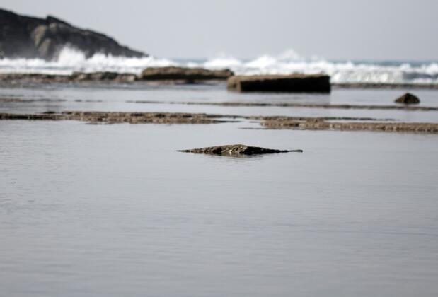 Koru Beach Hotel - Görsel 40