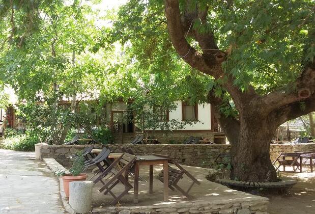 Birgi Çınaraltı Pansiyon - Görsel 4