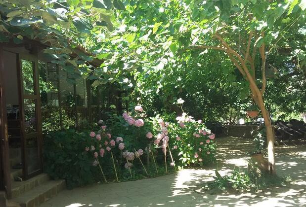 Birgi Çınaraltı Pansiyon - Görsel 8