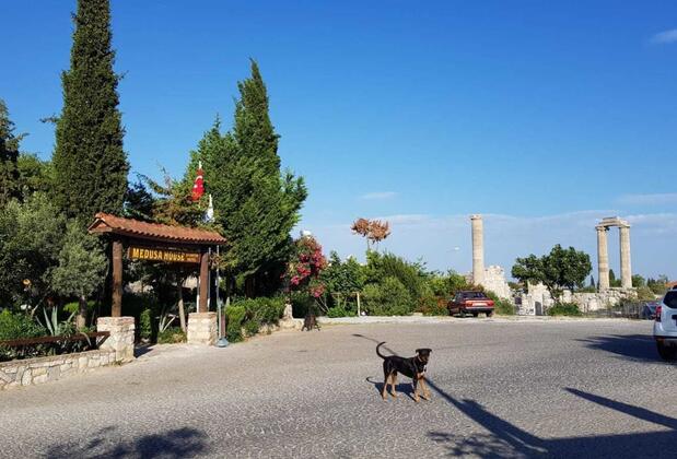 Medusa House - Görsel 4