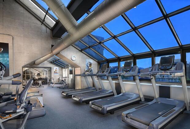 Ankara HiltonSA Otel - Görsel 8