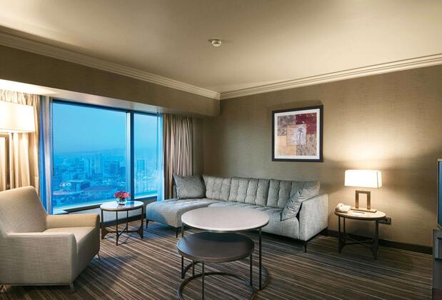 Ankara HiltonSA Otel - Görsel 14