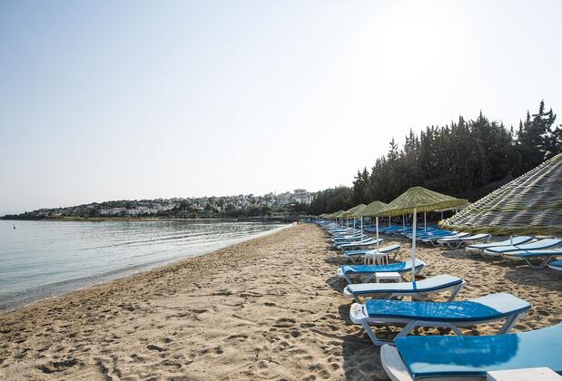 Altın Yunus Hotel & Spa Çeşme - Görsel 4