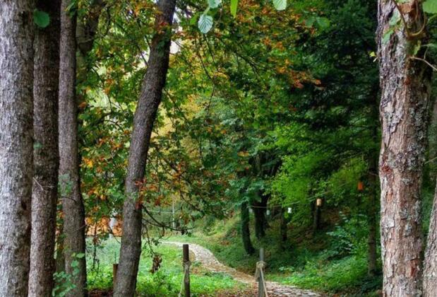 Mengen Cennet Vadi - Görsel 5