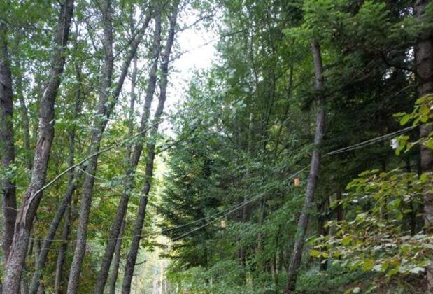 Mengen Cennet Vadi - Görsel 6