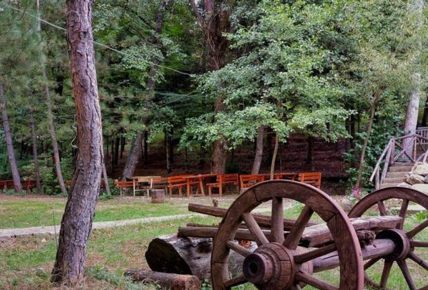 Mengen Cennet Vadi - Görsel 21