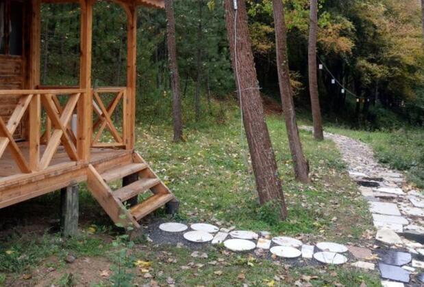 Mengen Cennet Vadi - Görsel 19