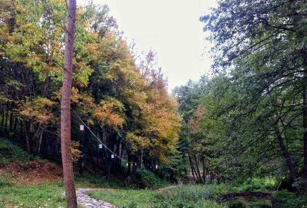 Mengen Cennet Vadi - Görsel 22