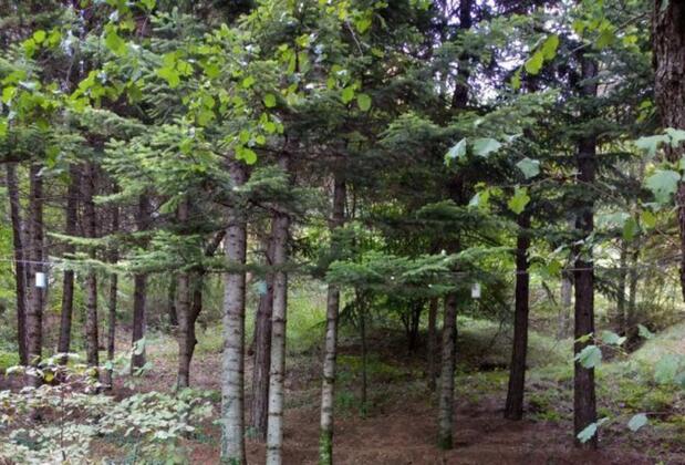 Mengen Cennet Vadi - Görsel 23