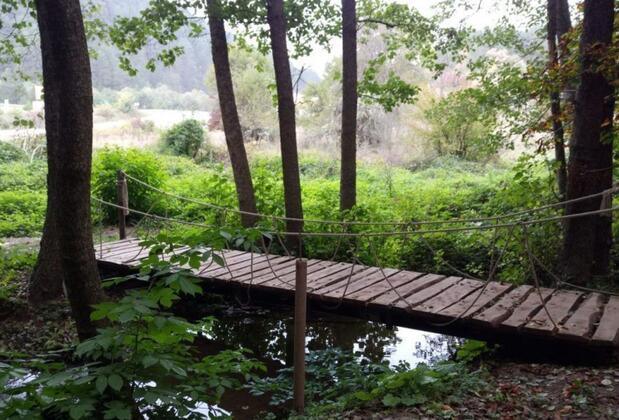 Mengen Cennet Vadi - Görsel 24