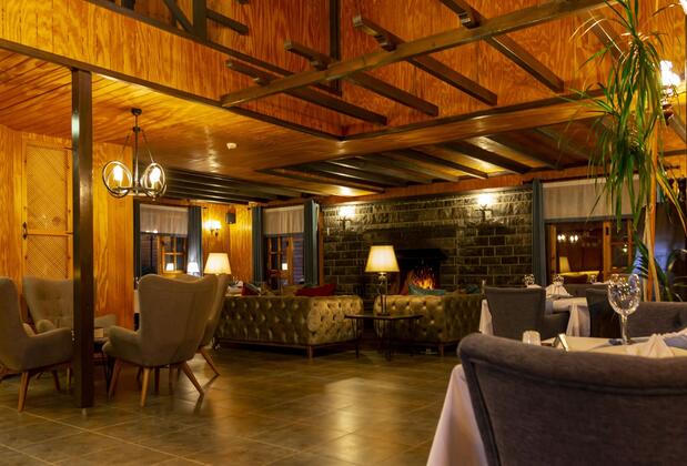 The Swanpark Hotel - Görsel 14