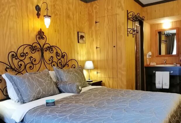 The Swanpark Hotel - Görsel 25