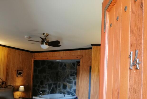 The Swanpark Hotel - Görsel 27