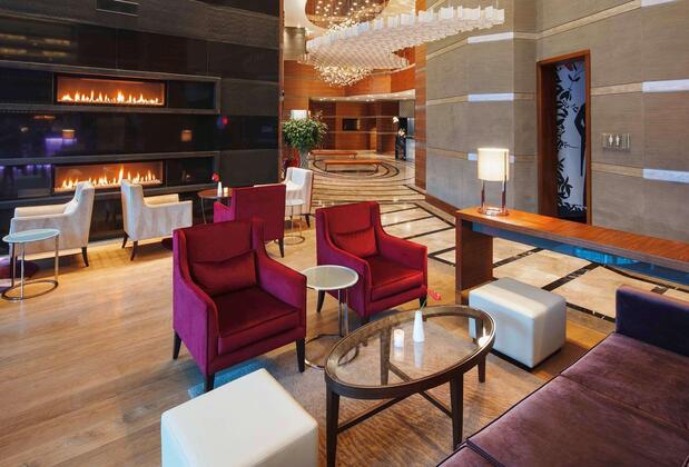Mövenpick Hotel Ankara - Görsel 11