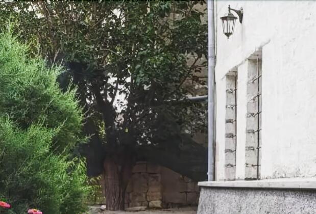 Grape Village House - Görsel 34