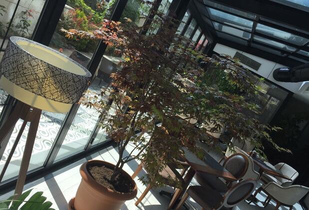 Warwick Hotel - Görsel 11