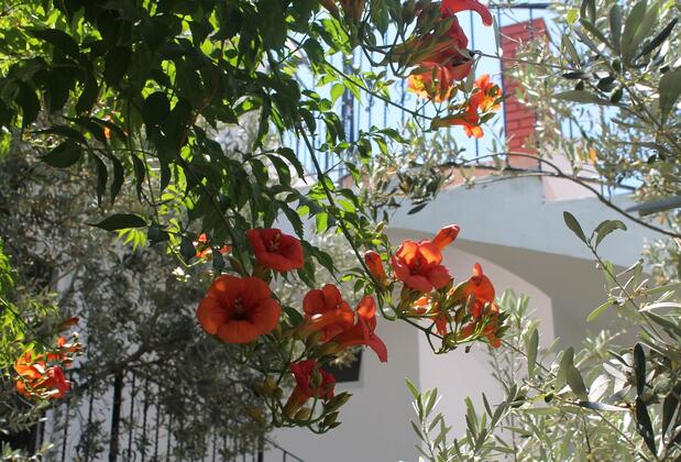 Lizo Hotel - Görsel 25