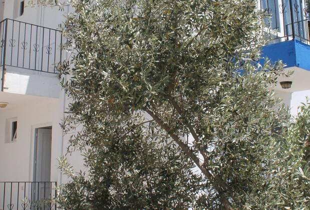 Lizo Hotel - Görsel 31