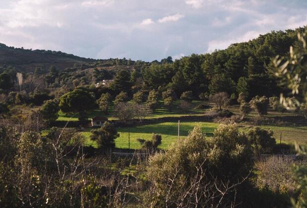 Otel Od Urla - Görsel 6