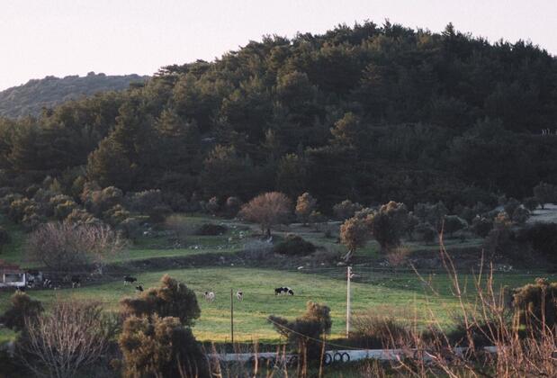 Otel Od Urla - Görsel 5