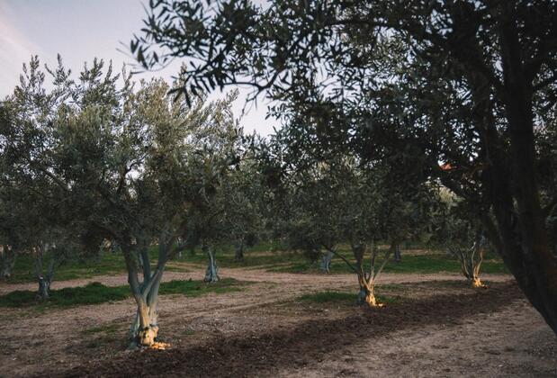 Otel Od Urla - Görsel 23