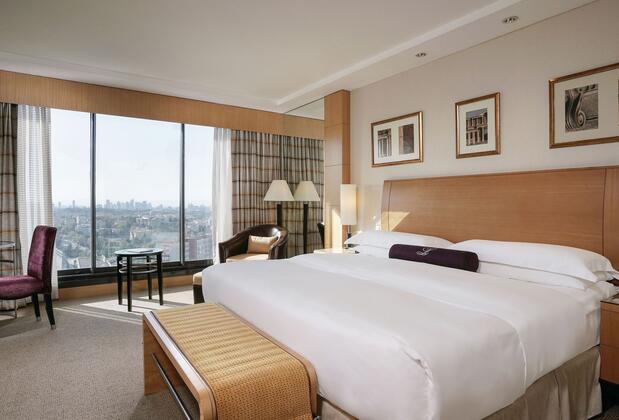 Lugal A Luxury Collection Hotel Ankara - Görsel 4