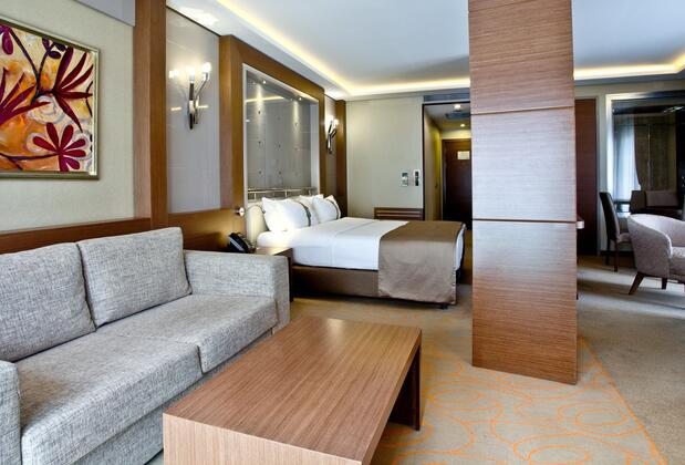 Holiday Inn Ankara-Kavaklıdere - Görsel 14