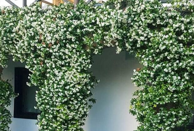 Nilya Hotel - Görsel 7