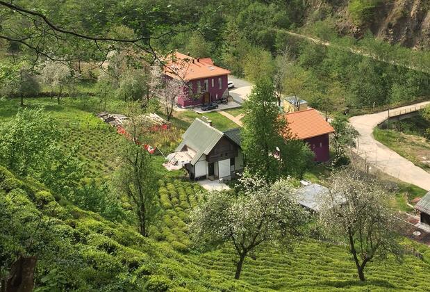 Nordic Otel - Görsel 21