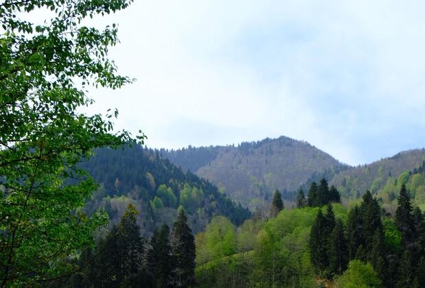 Nordic Otel - Görsel 41