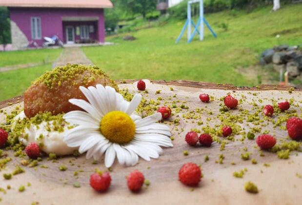 Nordic Otel - Görsel 42