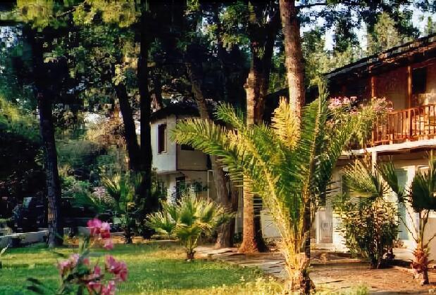 Altin Camp & Park Hotel - Görsel 11