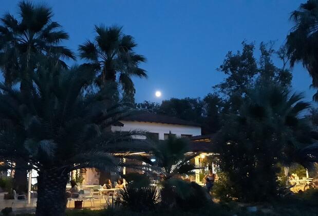 Altin Camp & Park Hotel - Görsel 4